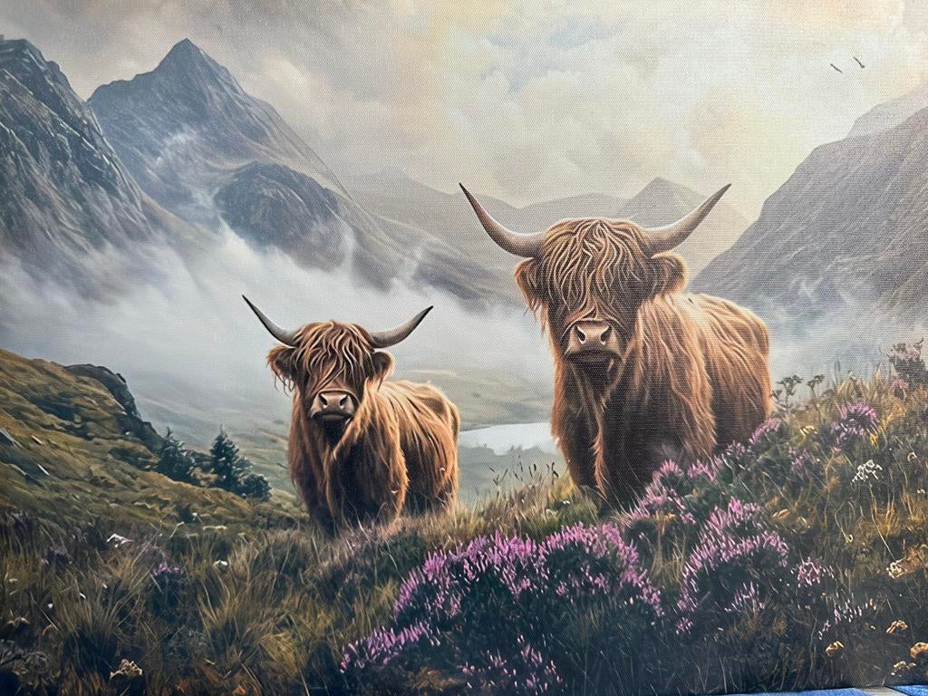 Schotse Hooglanders in Moorland - Canvas Wanddecoratie, Schilderij, Meerkleurig, Textiel, Nieuw