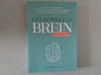 Overprikkeld brein - Meer rust en balans in 10 weken/C.Labee, Charlotte Labee, Ophalen of Verzenden, Zo goed als nieuw, Overige onderwerpen