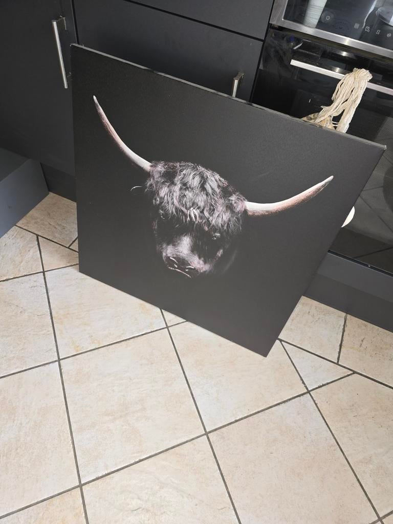 Canvas met Noordlander erop., Ophalen of Verzenden