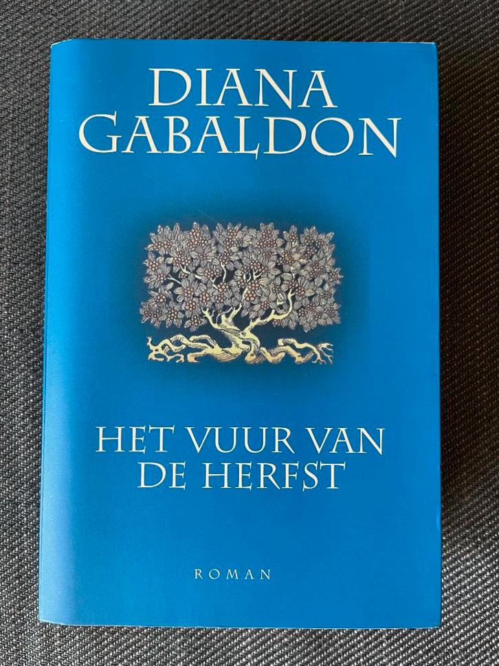 Diana Gabaldon - Het vuur van de herfst. (Reiziger 4), Boeken, Romans, Zo goed als nieuw, Ophalen of Verzenden