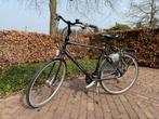 Stadfiets met versnellingen, Ophalen, Gebruikt, Versnellingen, 49 tot 53 cm
