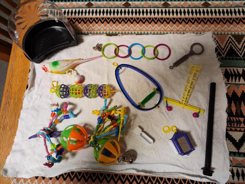 parkieten speelgoed, Dieren en Toebehoren, Vogels | Parkieten en Papegaaien, Geslacht onbekend, Parkiet