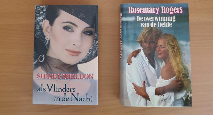 Twee dikke romans, Boeken, Romans, Zo goed als nieuw, Ophalen of Verzenden