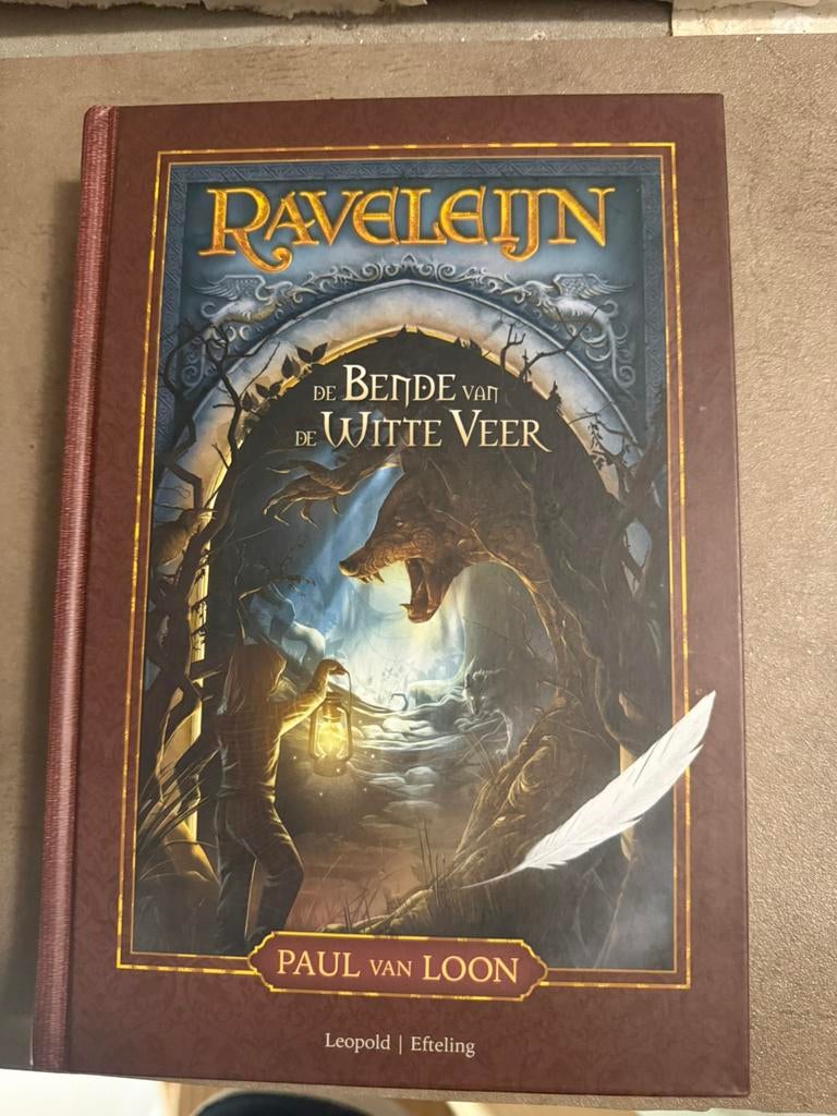 Efteling boek Ravelijn (deel 2), Ophalen of Verzenden, Zo goed als nieuw, Overige typen