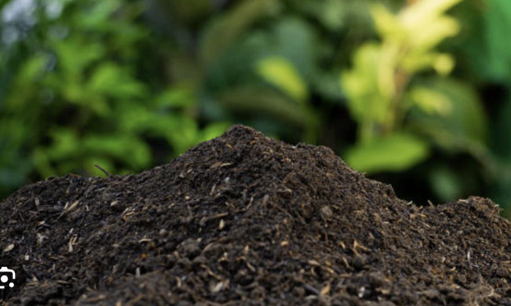 Biologische hout Compost 55m3 met certificaat en analyse, Tuin en Terras, Aarde en Mest, Ophalen, Compost
