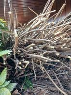 Brandhout, Minder dan 3 m³, Ophalen, Overige houtsoorten, Takken