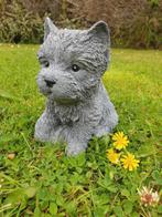 schatig tuinbeeldje van een puppy hondje, Ophalen of Verzenden, Nieuw, Hond of Kat, Opgezet dier