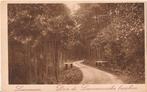 Leuvenum Door de Leuvenumsche bosschen 30er jaren, Ophalen of Verzenden, 1920 tot 1940, Ongelopen, Gelderland