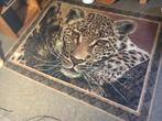 Luipaard, Leopard, Vloerkleed, Zuid-Afrika, Ophalen, Overige kleuren, Nieuw, 200 cm of meer