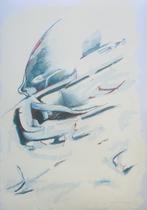 Zeefdruk Leo Musch - Ontketend, Verzenden