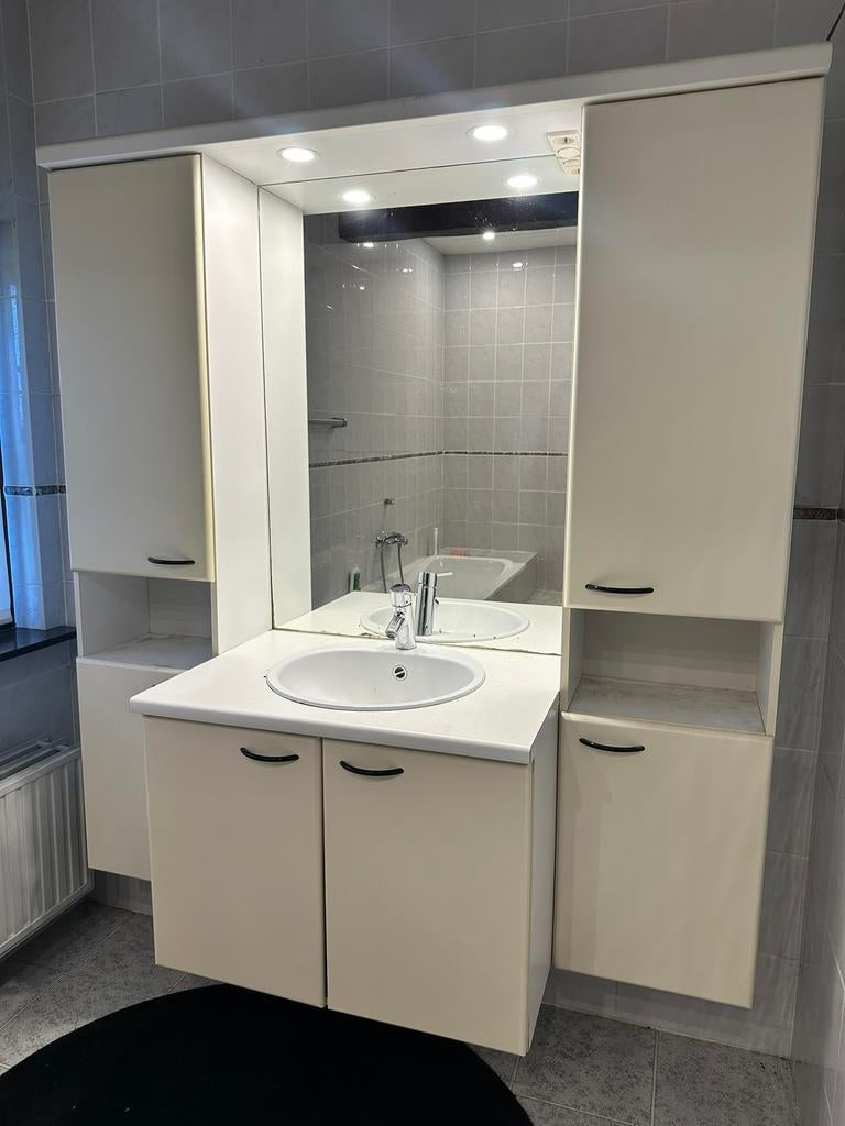 Badkamermeubel compleet, Ophalen, Gebruikt, 200 cm of meer, 150 tot 200 cm