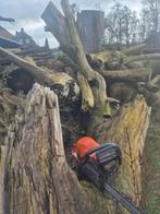 Populier haardhout stammen, Ophalen of Verzenden