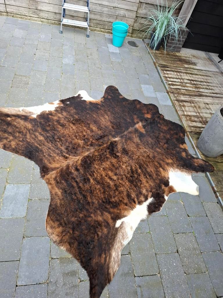 Koeienhuid kleed, Ophalen, Overige vormen, 200 cm of meer, 150 tot 200 cm