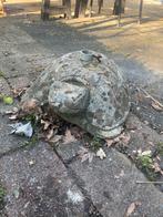 Grote schildpad parasolhouder van steen, Ophalen, Gebruikt