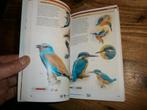 vogels van texel vogelgids 400+ vogelsoorten met afbeelding, Ophalen of Verzenden, Nieuw, Overige onderwerpen