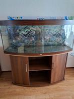 JUWEL Aquarium 150 cm, Ophalen of Verzenden, Gebruikt, Leeg aquarium