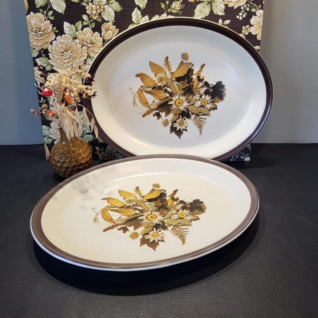 2 Ovale Aardewerk Serveerschalen Staffordshire Doverstone, Ophalen of Verzenden