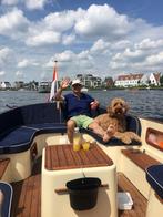 Goede maril 570 sloep te koop, Ophalen, 10 tot 30 pk, Gebruikt, Binnenboordmotor