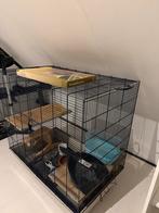 Kooi voor knaagdieren, Ophalen, Kooi, Chinchilla, Minder dan 60 cm