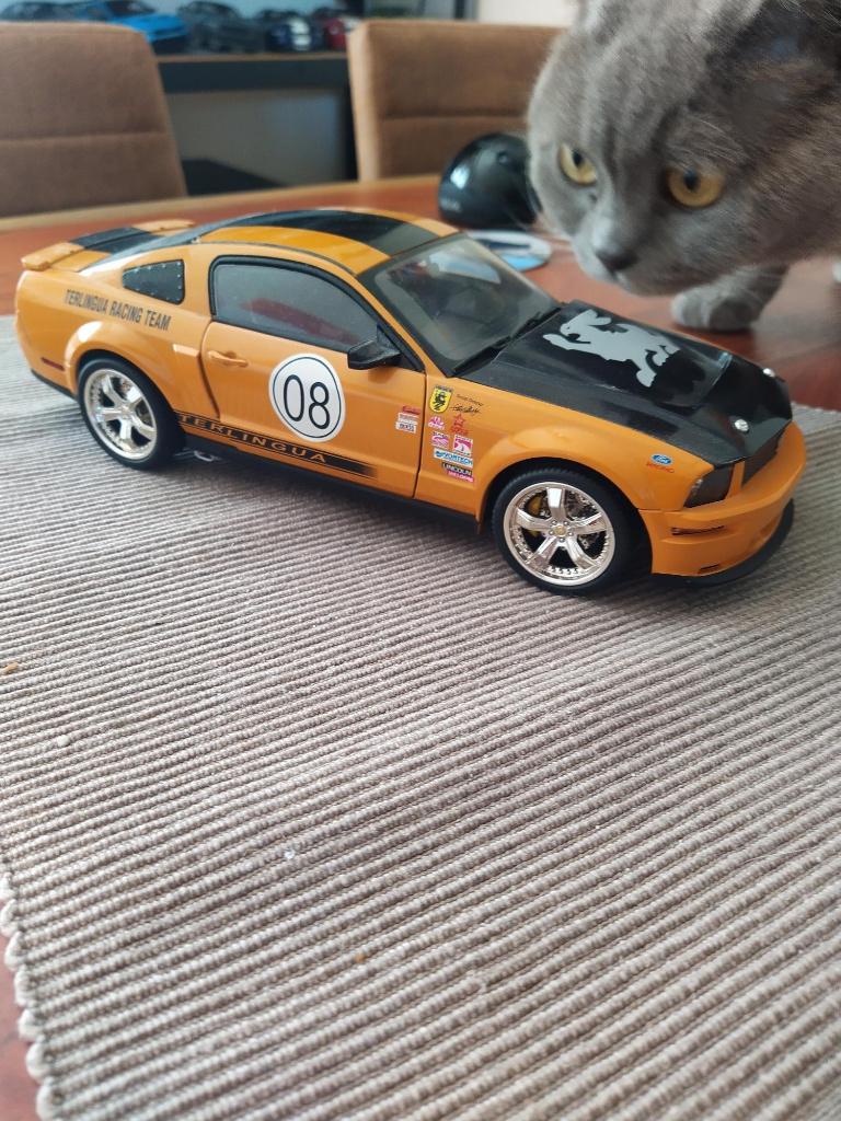 Ford Mustang Shelby GT500 Terlingua Racing Team, Hobby en Vrije tijd, Modelauto's | 1:18, Ophalen of Verzenden, Zo goed als nieuw
