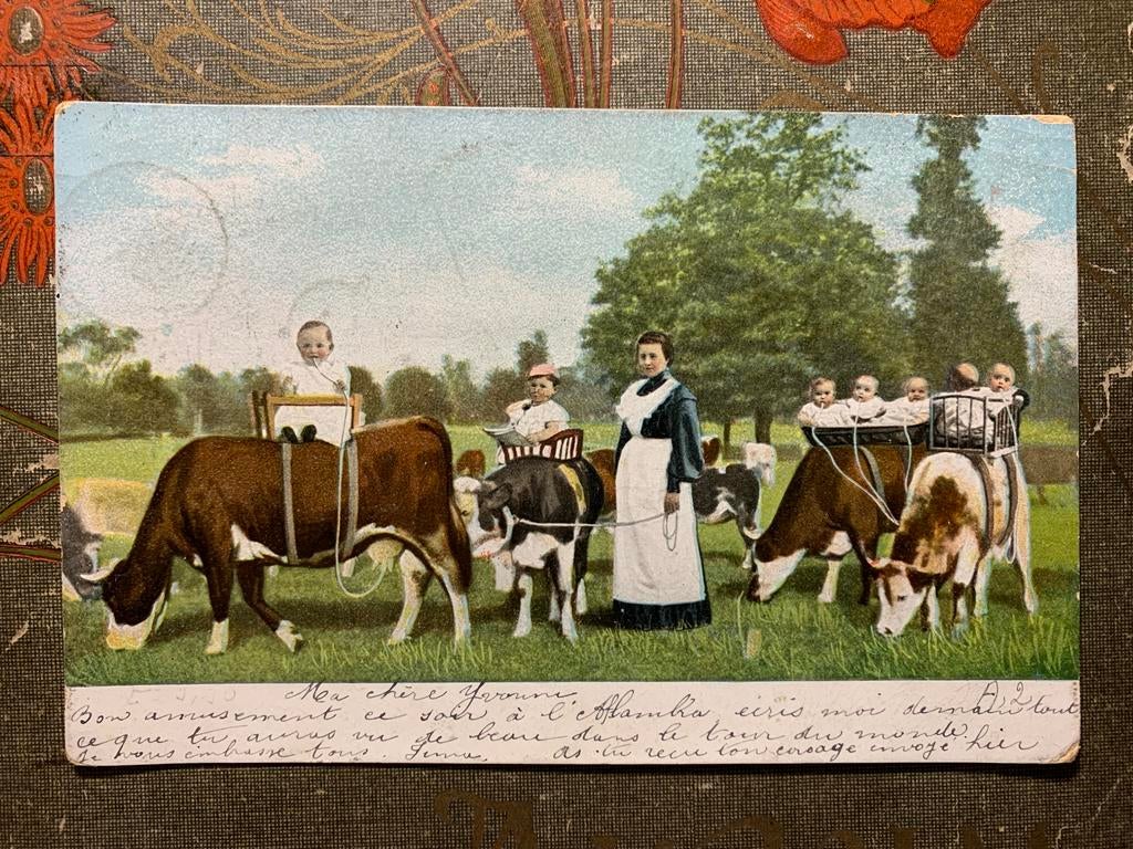 1905 Baby’s maken een ritje op de koe (BA), Ophalen of Verzenden, Voor 1920, Gelopen, Kinderen
