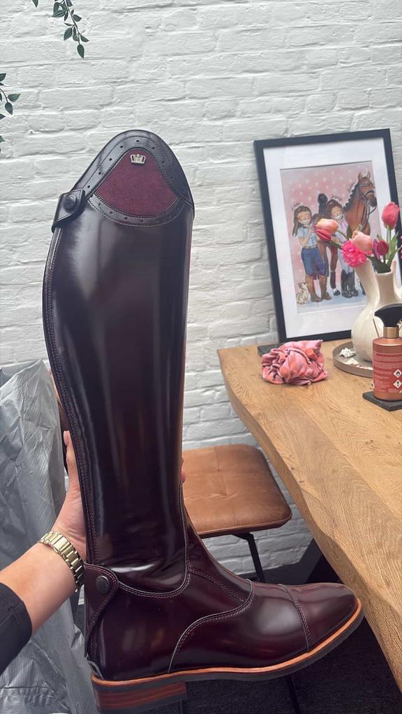 Kingsley rijlaarzen nieuw, Ophalen, Zo goed als nieuw, Dressuur, Schoeisel