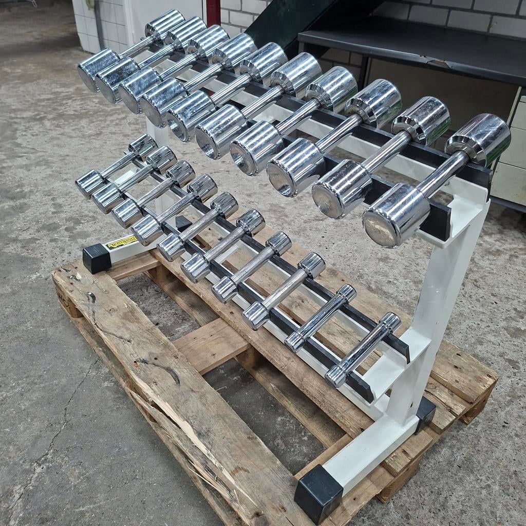 Technogym Chroom Dumbells Set + Technogym Dumbellrek, Ophalen, Zo goed als nieuw, Dumbbell