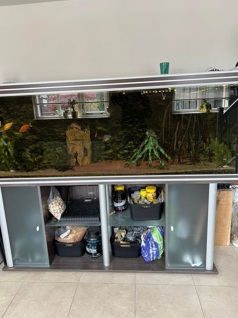 Aquarium aquatlantis 200cm compleet!, Dieren en Toebehoren, Ophalen, Aquatlantis, Inclusief toebehoren, Gevuld zoetwateraquarium
