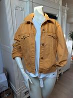 Jasje Divided maat M, Kleding | Dames, Ophalen of Verzenden, Gedragen