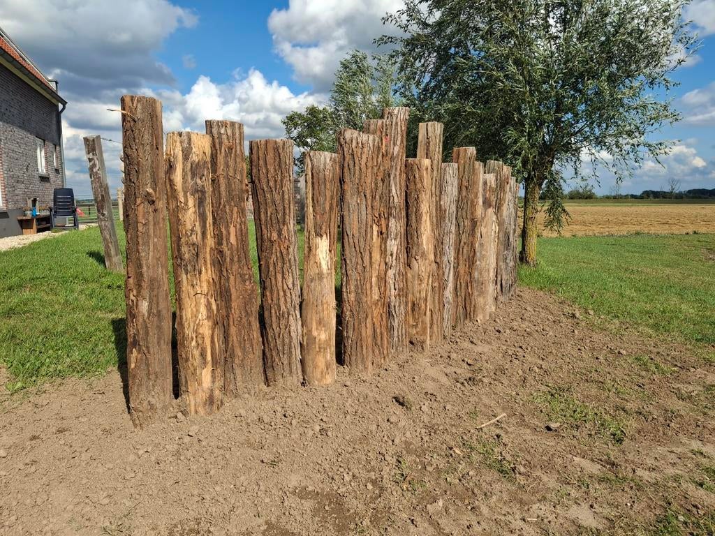 Robinia half rond palen schutting, Ophalen, Nieuw, Hout, Tuinhek