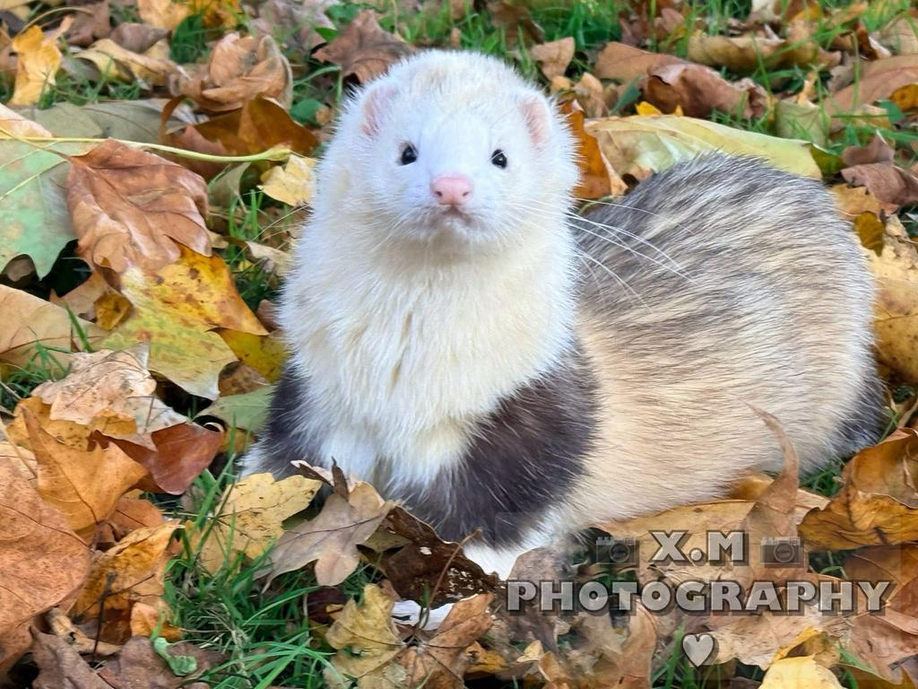 Fret rammetje bijna 1 jaar, Mei, Mannelijk