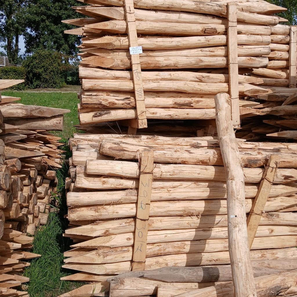 Palen, weidepaal, boompaal, afrasteringspaal Acacia, Tuin en Terras, Palen, Balken en Planken, Ophalen, Nieuw, 250 cm of meer