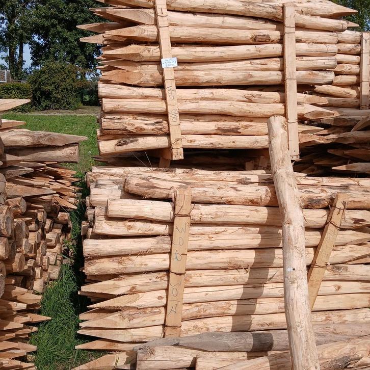 Palen, weidepaal, boompaal, afrasteringspaal Acacia, Tuin en Terras, Palen, Balken en Planken, Nieuw, Palen, 250 cm of meer, Ophalen