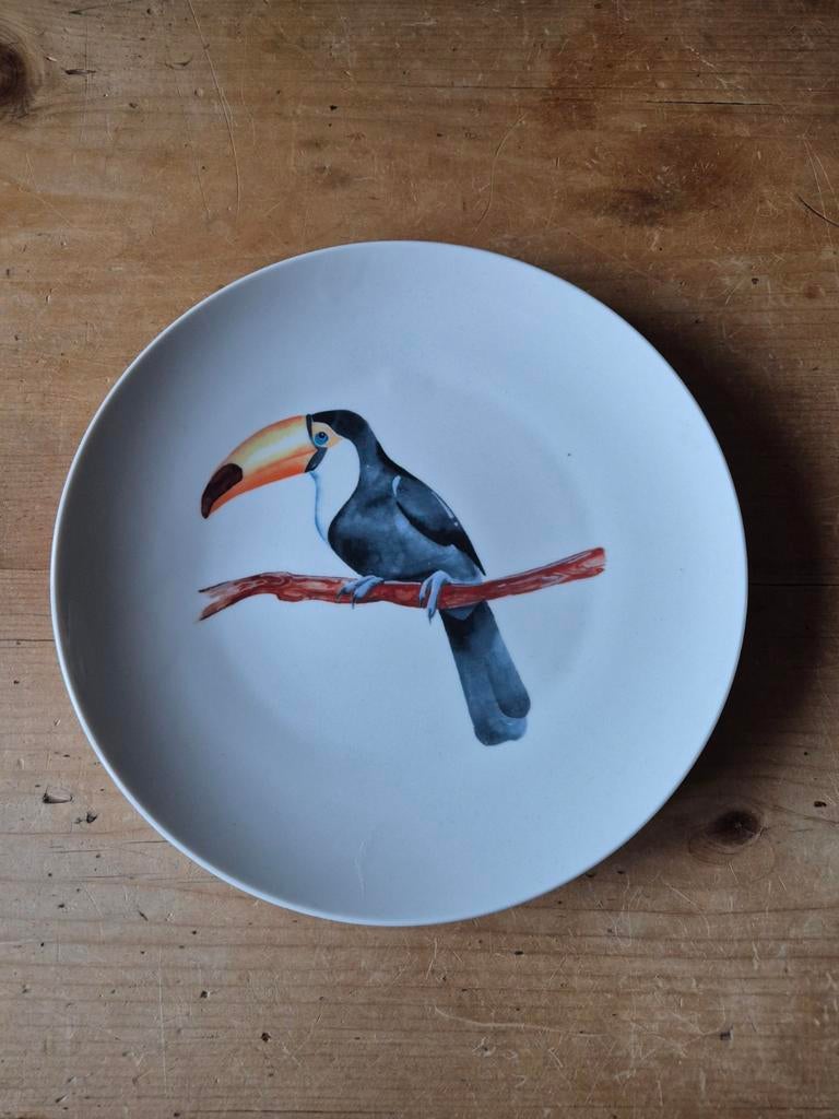 Wonder Wall bord - kaketoe - nieuw, Ophalen, Minder dan 50 cm, Nieuw, Schilderij