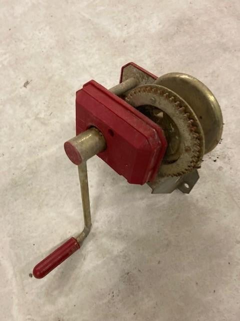 diversen, Dieren en Toebehoren, Pluimvee, Meerdere dieren, Kip