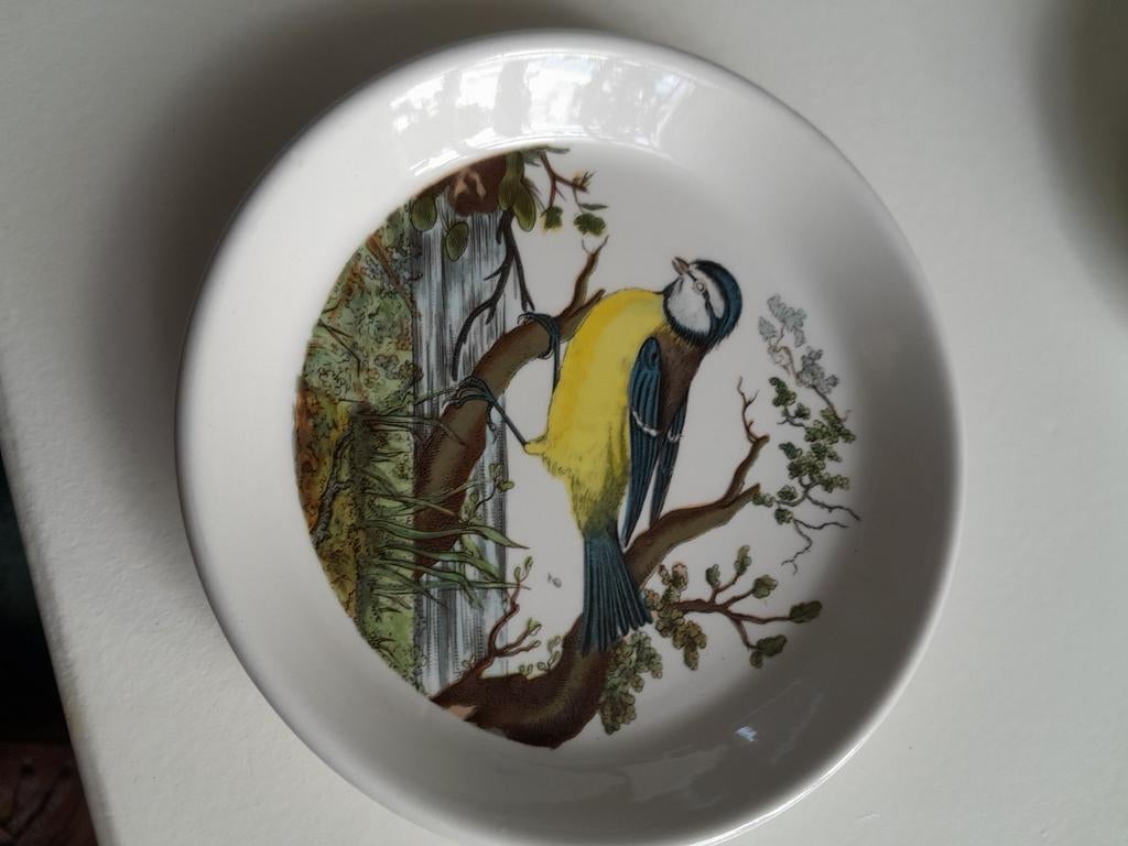 Portmeirion bordjes 2x, Ophalen of Verzenden