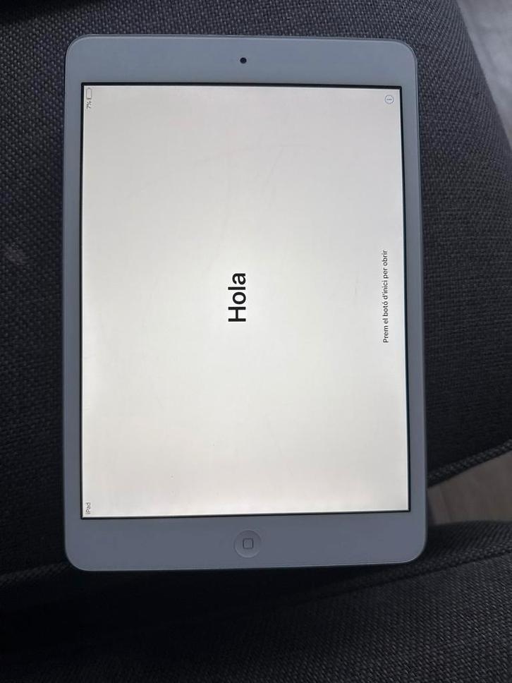 Apple iPad Mini - Zilver - 16GB - Wi-Fi, Computers en Software, Apple iPads, Gebruikt, Apple iPad Mini, Wi-Fi, 7 inch of minder