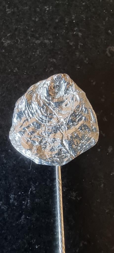 Zilveren vintage speld broche oester, Verzenden, Zo goed als nieuw, Zilver, Zilver