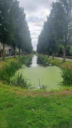 NIEUW! Woonruimte te huur Rietkraag, Lopik