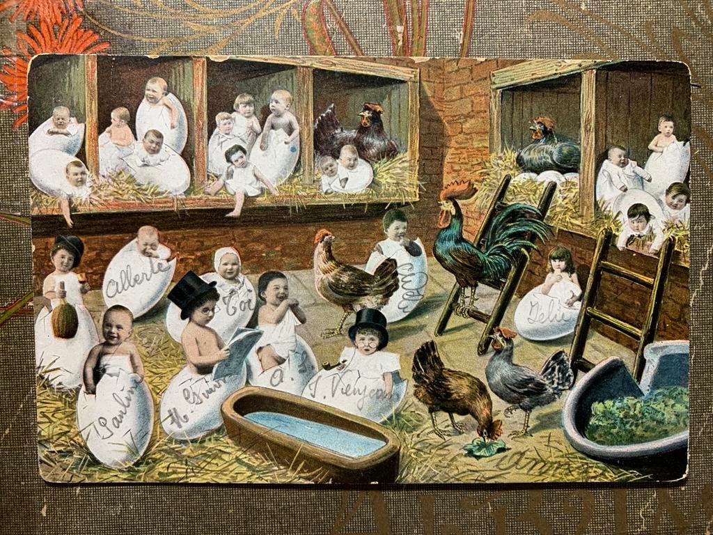 1905 Baby’s in het kippenhok (BA), Ophalen of Verzenden, Voor 1920, Gelopen, Kinderen