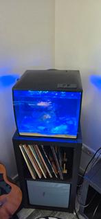 Fluval Zeewater aquarium, Ophalen, Zo goed als nieuw, Leeg aquarium