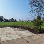 Weiland te huur, Weidegang