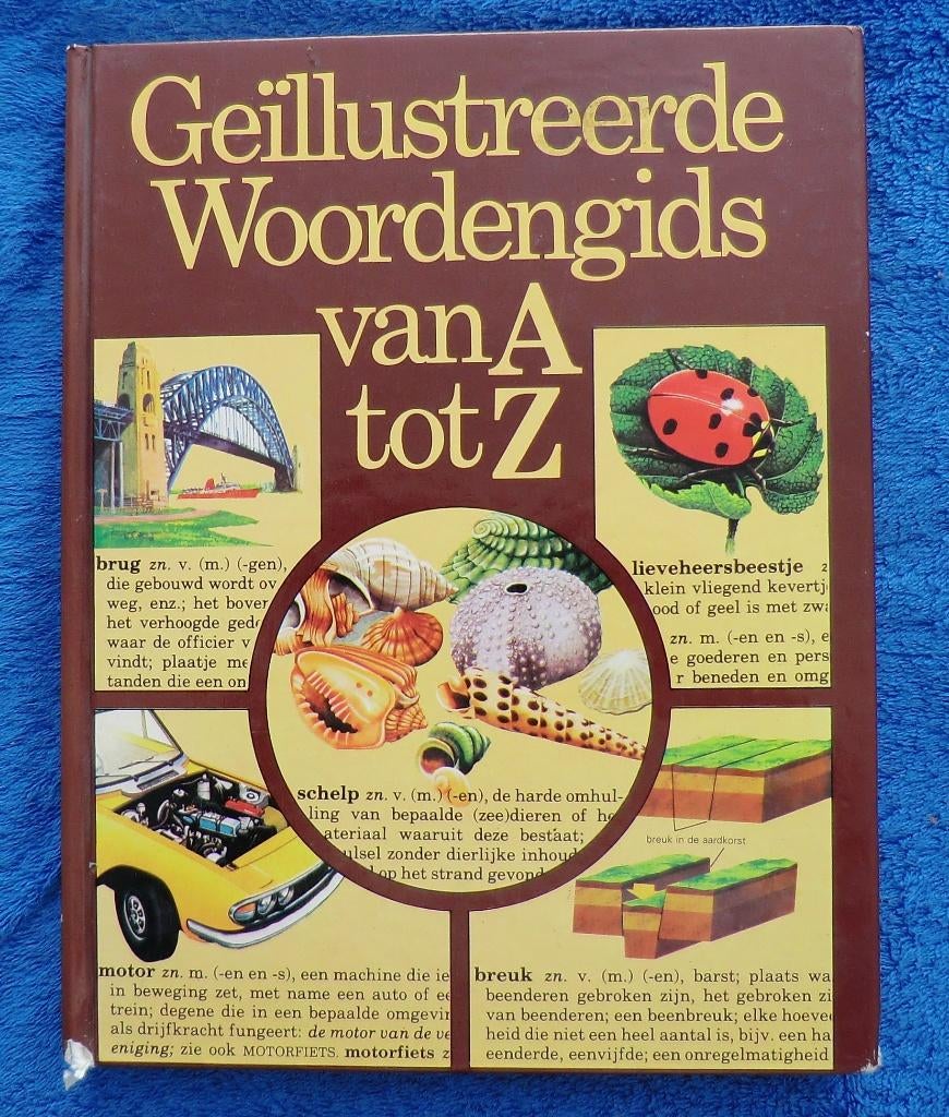 Geillustreerde Woordengids van A tot Z Nederlands leren 5,00, Boeken, Encyclopedieën, Ophalen of Verzenden, Zo goed als nieuw