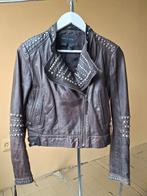 Mango chocolade bruine leren jas met studs, Ophalen of Verzenden, Zo goed als nieuw, Bruin