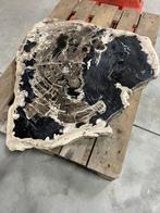 Versteend houten bladeren - Los te koop grote voorraad, Ophalen, Fossiel