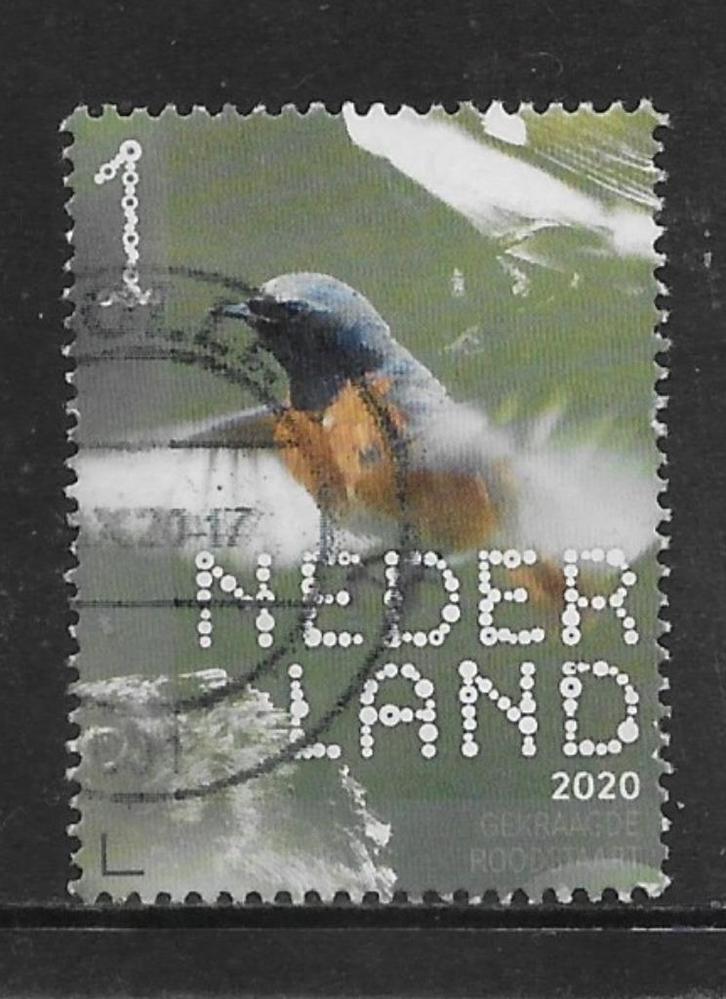 2020, Bos- en Heidevogels, Gekraagde Roodstaart[3869](K0730), Postzegels en Munten, Postzegels | Nederland, Ophalen of Verzenden