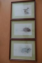 3 afbeeldingen lijstje van Eenden, Das en Egel, Antiek en Kunst, Ophalen of Verzenden