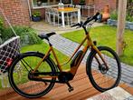 Prachtige Cortina Mozzo Pro 20 kg, 2x Koga en Sparta, Zo goed als nieuw, 50 km per accu of meer, 55 tot 59 cm, Ophalen