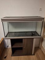 Zoetwater aquarium 180 liter nieuw, Dieren en Toebehoren, Ophalen, Zo goed als nieuw, Leeg aquarium
