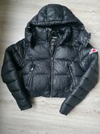 Superdry korte puffer jas maat 38 ik draag maat 36, Superdry, Zwart, Ophalen of Verzenden, Zo goed als nieuw